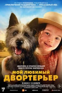 Мой любимый двортерьер